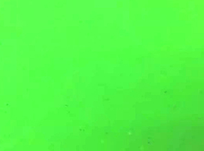 KS-11 Fluorescent Green