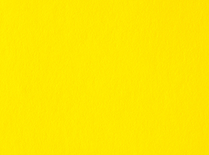 盐城KS-27 Fluorescent Yellow