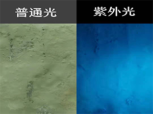 浙江KF-25B Anti-Counterfeiting Cluorescent Blue